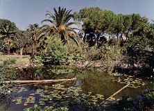Filmato